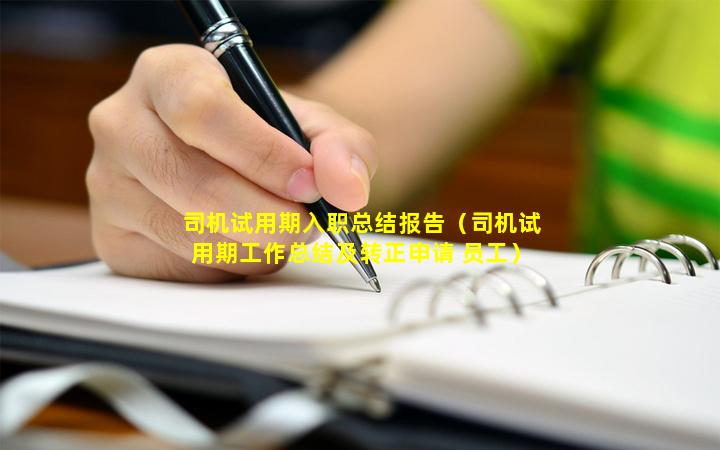 司机试用期入职总结报告（司机试用期工作总结及转正申请 员工）